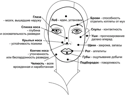 Физиогномика глаза 