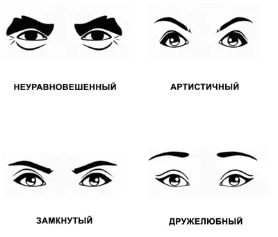 Физиогномика / смешные картинки и другие приколы: комиксы, гиф анимация,  видео, лучший интеллектуальный юмор.