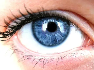 Формы глаз у человека | Статьи