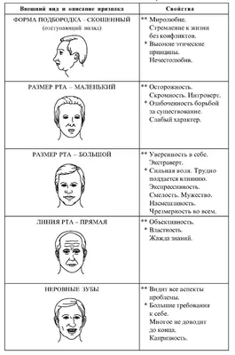 Физиогномические признаки для определения типов личности и типов характера  | Пикабу