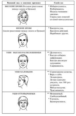 Как читать человека. Черты лица, жесты, позы, мимика (fb2) | Флибуста