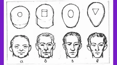 Читаем по лицу: каким характером обладает человек с треугольной формой лица.  Физиогномика и психология. | Результативная психология. | Дзен