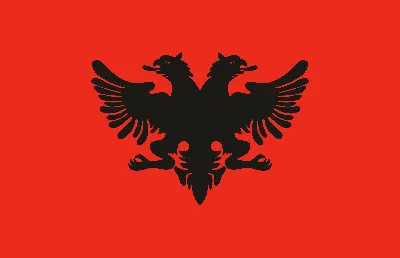 Купить флаг Албании (албанський прапор) в Киеве FlagStore