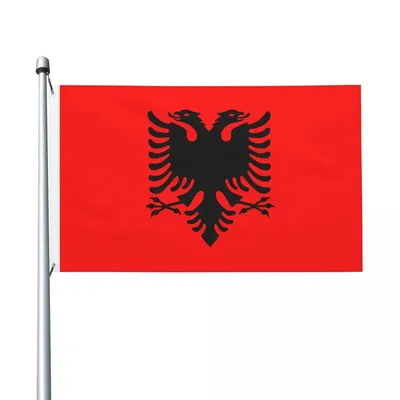 Скачать 1280x960 албания, флаг, герб, фон, краска, символика, текстура  обои, картинки стандарт 4:3