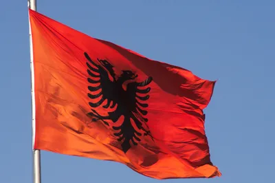Флаг Албании - купить Флаг по выгодной цене в интернет-магазине OZON  (1143851731)
