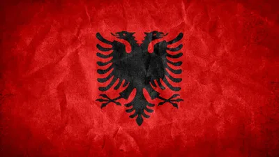 Флаг Албании купить - заказать, купить в Минске в интернет-магазине, цена,  доставка по РБ