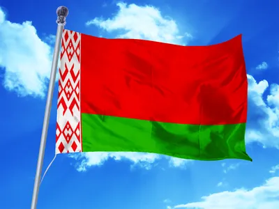 История флага беларуси | Пикабу