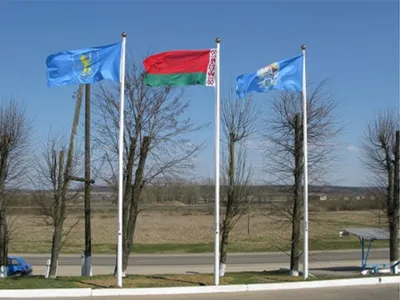 Национальный флаг беларуси гранж мазок векторные иллюстрации на прозрачном  фоне | Премиум векторы