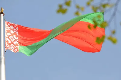Telegram поменял белорусский флаг на бело-красно-белый | Euronews