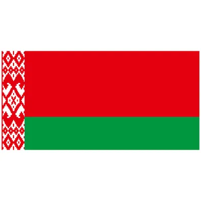 Флаг Белоруссии белорусский 67,5х135 большой на стену Заверните! 14007112  купить за 835 ₽ в интернет-магазине Wildberries