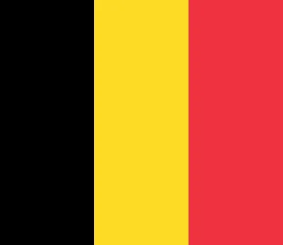 Флаг Бельгии купить - заказать, купить в Минске в интернет-магазине, цена,  доставка по РБ