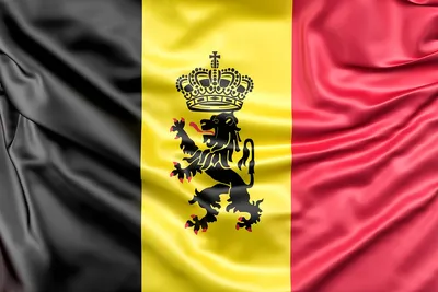 Национальный флаг Бельгии на светлом фоне :: Стоковая фотография ::  Pixel-Shot Studio