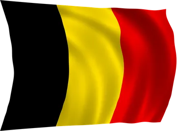 Во время визита бельгийского короля в Канаду спутали флаги Бельгии и ФРГ —  РБК