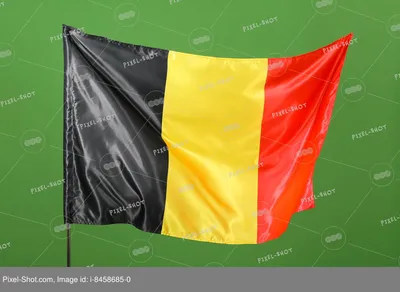 Флаг Бельгии - семена 3 сортов - – Garden Seeds Market | Бесплатная доставка