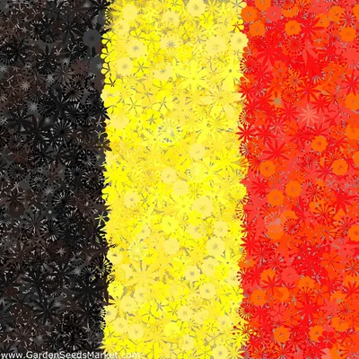 Флаг Бельгии Бельгия - Бесплатное изображение на Pixabay - Pixabay