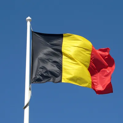 Флаг Бельгии обои для рабочего стола, картинки и фото - 