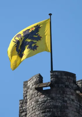 Подтяжки Флаг Бельгии — Подтяжки и портупеи — Рок-магазин атрибутики Castle  Rock
