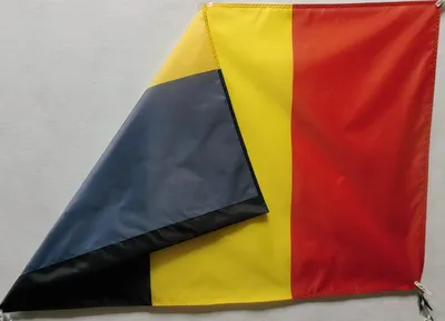 Арестович перепутал флаги Германии и Бельгии, обращаясь к Шольцу | В мире |  Политика | Аргументы и Факты