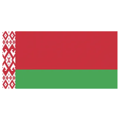 Флаг Белоруссии белорусский 67,5х135 большой на стену Заверните! 14007112  купить за 835 ₽ в интернет-магазине Wildberries