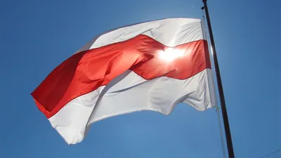 8 мая -- День Государственного герба и Государственного флага Республики  Беларусь | Новости Светлогорска и Светлогорского района