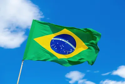 Что означает флаг Бразилии? | Жизнь в путешествии | Life Side Travel | Дзен