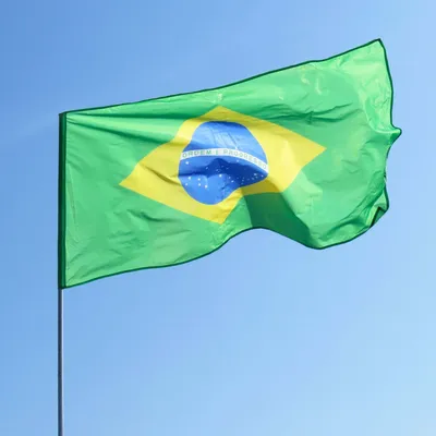 Картина "Флаг бразилии, флаги мира, бразилия" для интерьера на стену /  Декор в дома, спальню, на кухню, детскую комнату, 125 см х 62 см - купить  по низкой цене в интернет-магазине OZON (854069596)