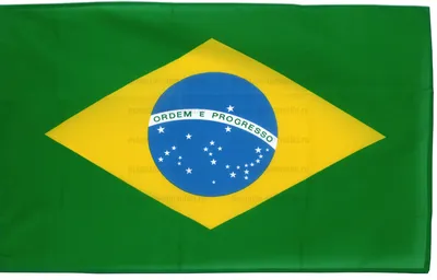 Раскраска Флаг Бразилии распечатать - Флаги и гербы