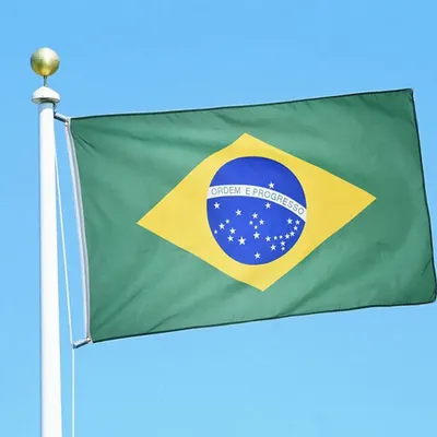 Скачать обои "Флаг Бразилии" на телефон в высоком качестве, вертикальные  картинки "Флаг Бразилии" бесплатно