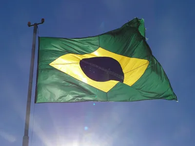 Купить Флаг Бразилии 40x60 см недорого в интернет магазине | Магазин  Символики | 