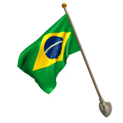 Флаг Бразилии 25 градусов полюс 3D Модель $8 - .c4d - Free3D