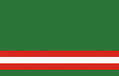 Chechen Power флаг с волком наружный баннер, 2 люверса, флаг Чечни,  украшение, не выцветает, 2x3 3x5 4x6 футов, флаги | AliExpress