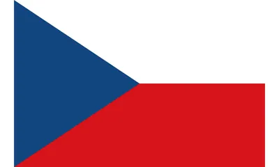 В Чехии мужчина пытался сорвать флаг Украины из музея - его засудили - 24  Канал