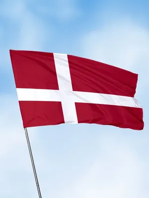Флаг Дании – старейший в мире. Зачем историки учат, что он упал с неба? И  почему такой же крест на флагах всей Скандинавии? | Гол.ру