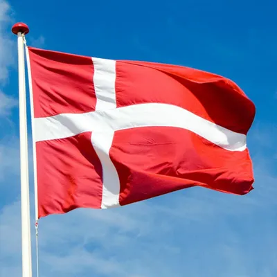 Флаг Дании Denmark Дания 145Х90см НАШФЛАГ Большой Двухсторонний Уличный -  купить в Москве, цены на Мегамаркет