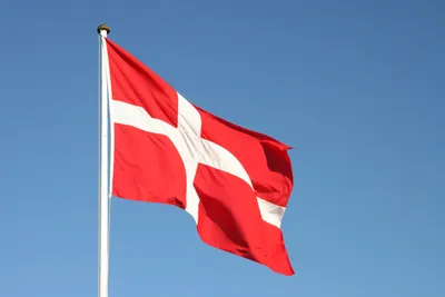Настольный флаг. Флаг Дании — купить в интернет-магазине по низкой цене на  Яндекс Маркете