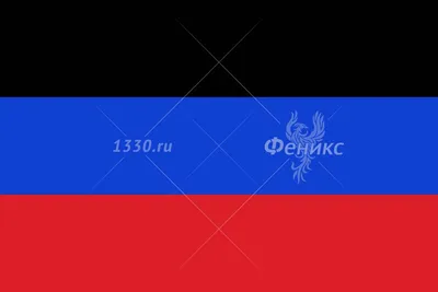 Флаг ДНР Донецкой народной республики 145Х90см НАШФЛАГ Большой  Двухсторонний Уличный - купить Флаг по выгодной цене в интернет-магазине  OZON (731010845)