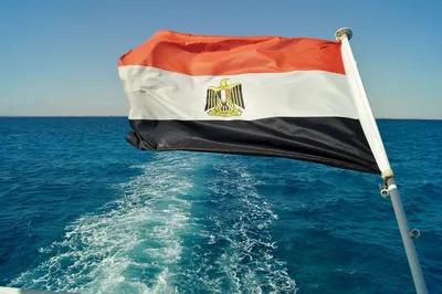 Раскраска Флаг Египта распечатать - Флаги и гербы
