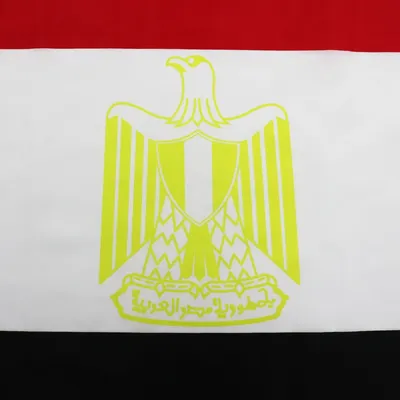 Флаг.ру: Печатный герб Египта | 35x45