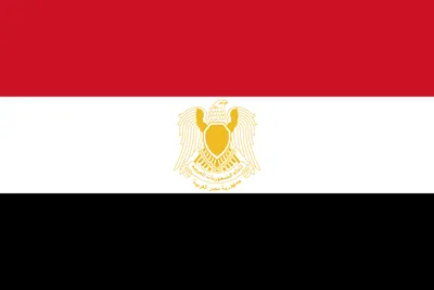 В Каире заявили, что Россия поддерживает желание Египта вступить в БРИКС -  РИА Новости, 