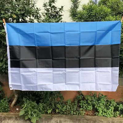 Флаг Эстонии Эстония - Бесплатная векторная графика на Pixabay - Pixabay