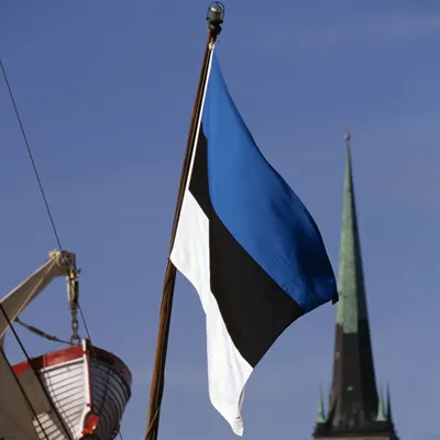 Флаг Эстонии (ID#1614101385), цена: 480 ₴, купить на 