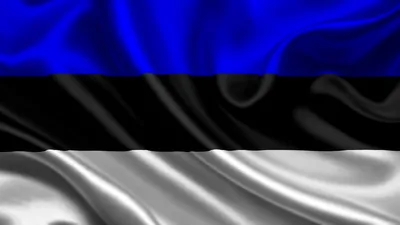 Флаг Эстонии: фото, как выглядит, значение цветов флага Эстонии |  Flags-World