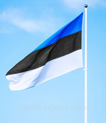 Flag of Estonia, 3x5' - ABC Books and Gifts