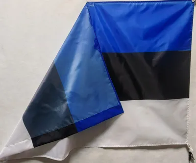 Эстония развевается флагом PNG , флаг эстонии с шестом, прозрачный  развевающийся флаг эстонии, флаг эстонии PNG картинки и пнг PSD рисунок для  бесплатной загрузки