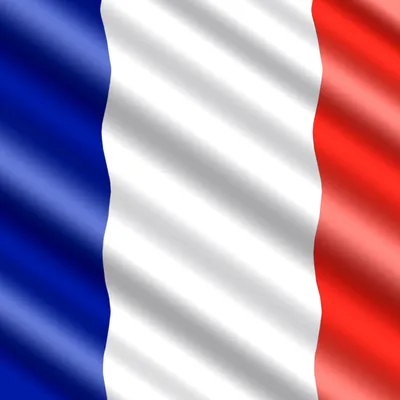 Подушка декоративная - флаг Франции