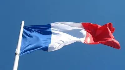 Флаг Франции / France, 145*90 см - купить Флаг по выгодной цене в  интернет-магазине OZON (306158128)