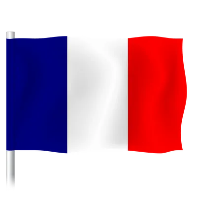 Флаг Франции: как выглядит и что означают цвета, альтернативные стяги