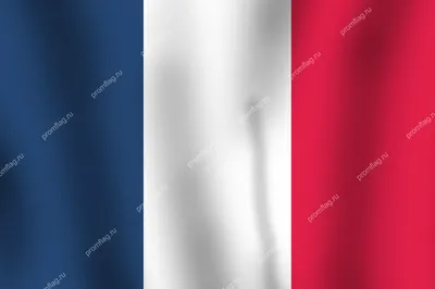 Флаг Франции France Франция Большой размер 90х145см! - купить Флаг по  выгодной цене в интернет-магазине OZON (778075239)