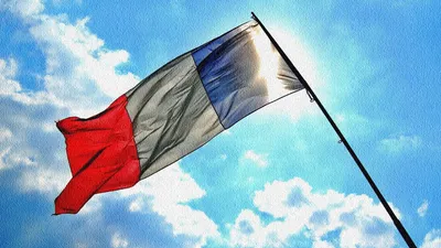Флаг Франции Королевского стандарта королевы Людовика 14 90x150 см 3x5  футов 100D полиэстер с двойной строчкой высококачественный баннер 21x14 см  | AliExpress
