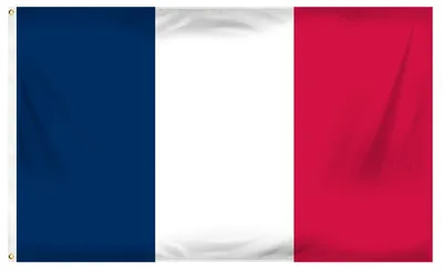 Русский) Что обозначает флаг и герб Франции? | SLON